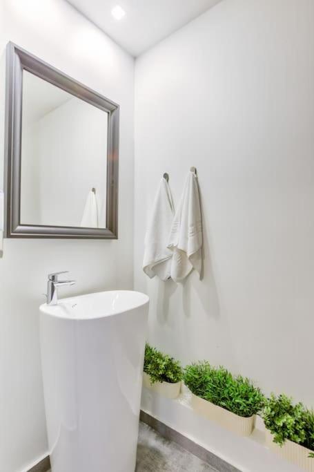 Splendor 3 Bedroom Flat In Silver Mountain Poiana Brasov Exterior photo